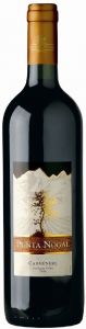Carmenere, Punta Nogal / Карменере, Пунта Ногаль 2011